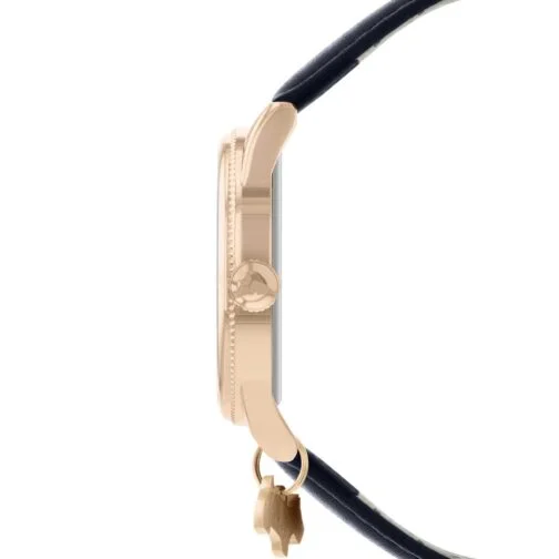 radley london ry21352 int