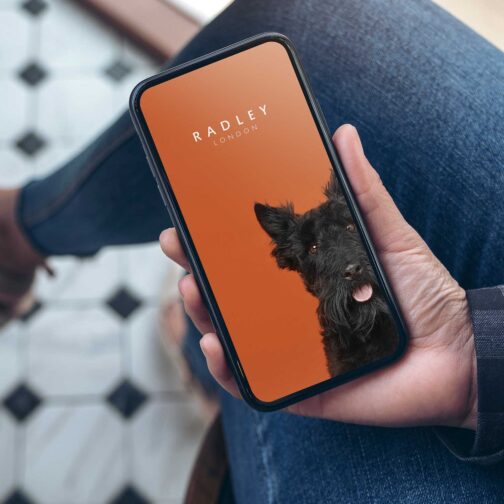 radley london smart series 05 rys05 2100 int